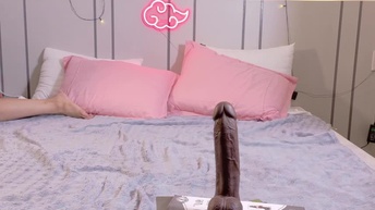 MomoMoonxxx Stripchat Live